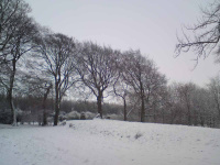 DSC00199.JPG