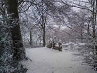 DSC00201.JPG