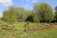 M.G. 10 – Grove – Beltane Circle