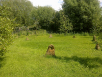 M.G. 3 – Grove – Solstice Circle