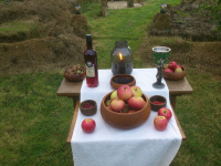 M.G. 11 – Grove – Autumn Equinox Altar – 1