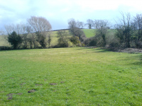 G.E. 1 - Grove - Setting out the site - 1 - .JPG