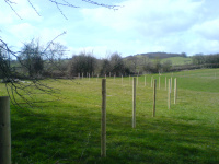 G.E. 1 - Grove - Setting out the site - 10 - .JPG