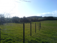 G.E. 1 - Grove - Setting out the site - 11 - .JPG