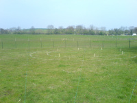 G.E. 2 - Grove - Standing the Stones - 1 - .JPG