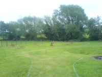 G.E. 2 - Grove - Standing the Stones - 8 - .JPG