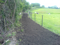 G.E. 3 - Grove - Clearing the Entrance Path - 1 .JPG