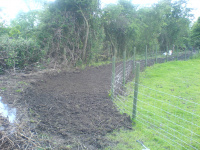 G.E. 3 - Grove - Clearing the Entrance Path - 2 .JPG