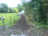 G.E. 3 - Grove - Clearing the Entrance Path - 3 .JPG