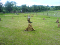 G.E. 5 - Grove - Our first Summer Solstice - 1 - .JPG