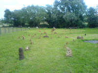 G.E. 5 - Grove - Our first Summer Solstice - 2 - .JPG
