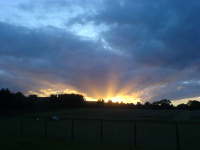 G.E. 5 - Grove - Our first Summer Solstice - 3 - .JPG