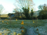G.E. 7 - Grove - Planting the Silver Birch - 1 .JPG