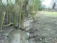 G.E. 9 - Grove - Tidying the ditch 1 - .JPG