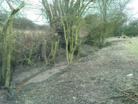 G.E. 9 - Grove - Tidying the ditch 2 - .JPG