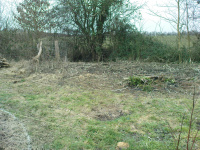 G.E. 11 - Grove - Levelling the land 3 - .JPG