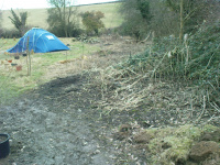 G.E. 11 - Grove - Levelling the land 4 - .JPG