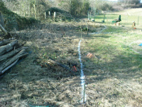 G.E. 11 - Grove - Levelling the land 5 - .JPG