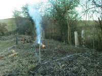 G.E. 11 - Grove - Levelling the land 7 - .JPG