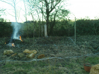 G.E. 11 - Grove - Levelling the land 8 - .JPG