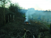 G.E. 11 - Grove - Levelling the land 9 - .JPG