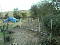 G.E. 12 - Grove - Building Starts - 3 .JPG