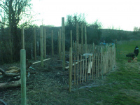 G.E. 14 - Grove - Building The Shed - 2 - .JPG