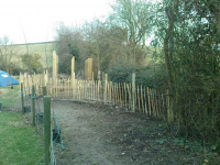 G.E. 14 - Grove - Building The Shed - 3 - .JPG