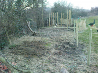 G.E. 15 - Grove - Building The Shed - 5 - .JPG