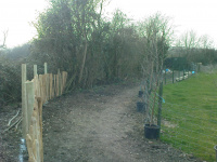 G.E. 15 - Grove - Building The Shed - 6 - .JPG