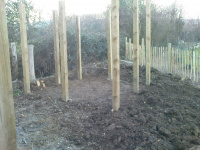 G.E. 15 - Grove - Building The Shed - 7 - .JPG