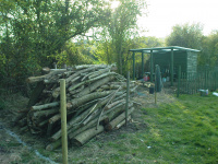 G.E. 15 - Grove - Building The Shed - 22 - .JPG