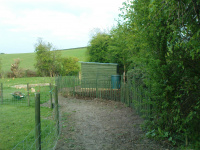 G.E. 16 - Grove - One Year On! - 2 .JPG