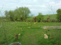 G.E. 16 - Grove - One Year On! - 3 .JPG