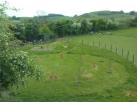 G.E. 17 - Grove - View from the Willows - 2 - .JPG