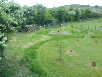 G.E. 17 - Grove - View from the Willows - 4 - .JPG