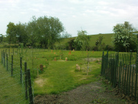 G.E. 18 - Grove - Start of the Pond 2 - .JPG