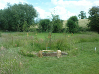 G.E. 18 - Grove - Start of the Pond 3 - .JPG