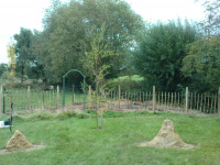 G.E. 19 - Grove - The Moon Garden - 4 - .JPG