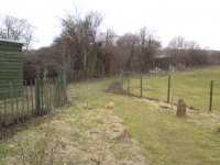 G.E. 21 - Grove - Reshaping the Entrance Path - 2 .JPG