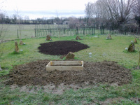 G.E. 41 - Grove - New Wheat Bed! 2 - .jpg