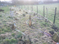 G.E. 49 - Grove - The Outer Path! Orchard Walk! - 19 - .jpg