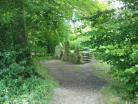 dsc00001_original.jpg
