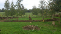G.E. 101 - Grove - Early Autumn! The Circle! - .jpg