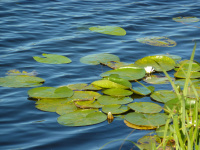 p1010566w_original.jpg