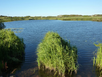p1010569w_original.jpg