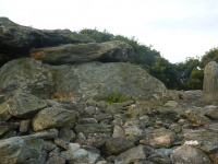 p1010586w_original.jpg