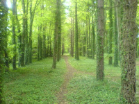 dsc00299_original.jpg