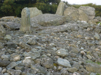 p1010597w_original.jpg