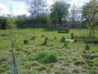G.E. 52 - Grove - The Apple - Pear and Greengage Trees! - 2 - .jpg